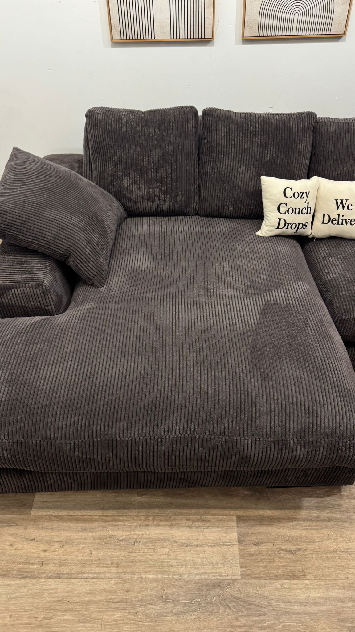Moe’s Plunge Sectional
