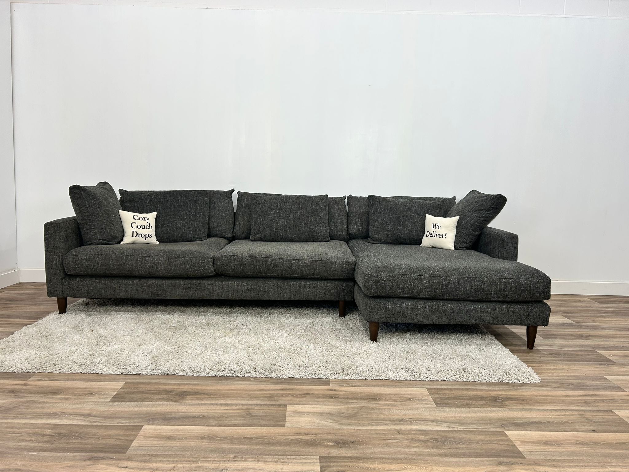 Urban Barn Nixon Sectional Sofa