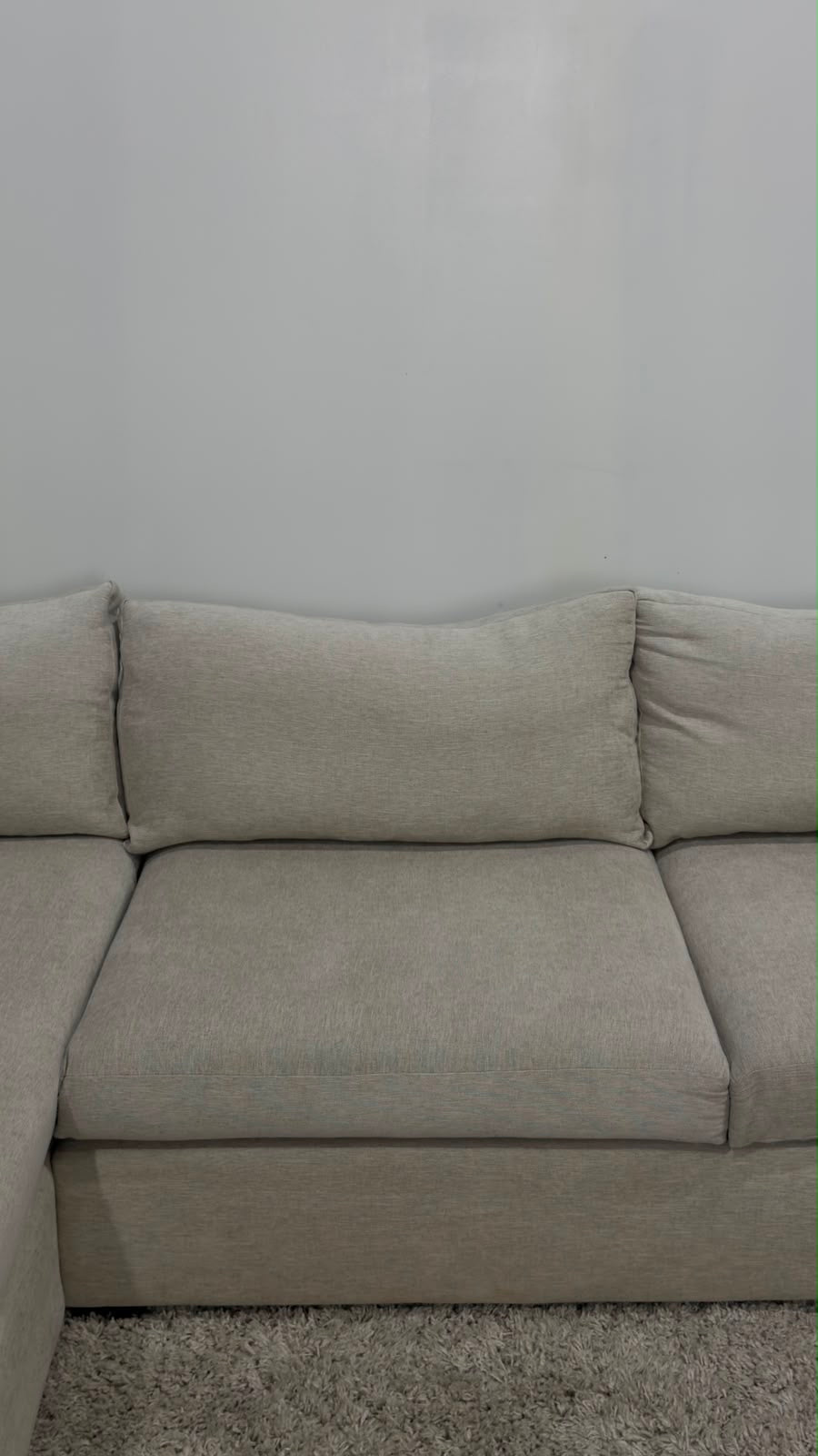 Everyroom Sectional Sofa