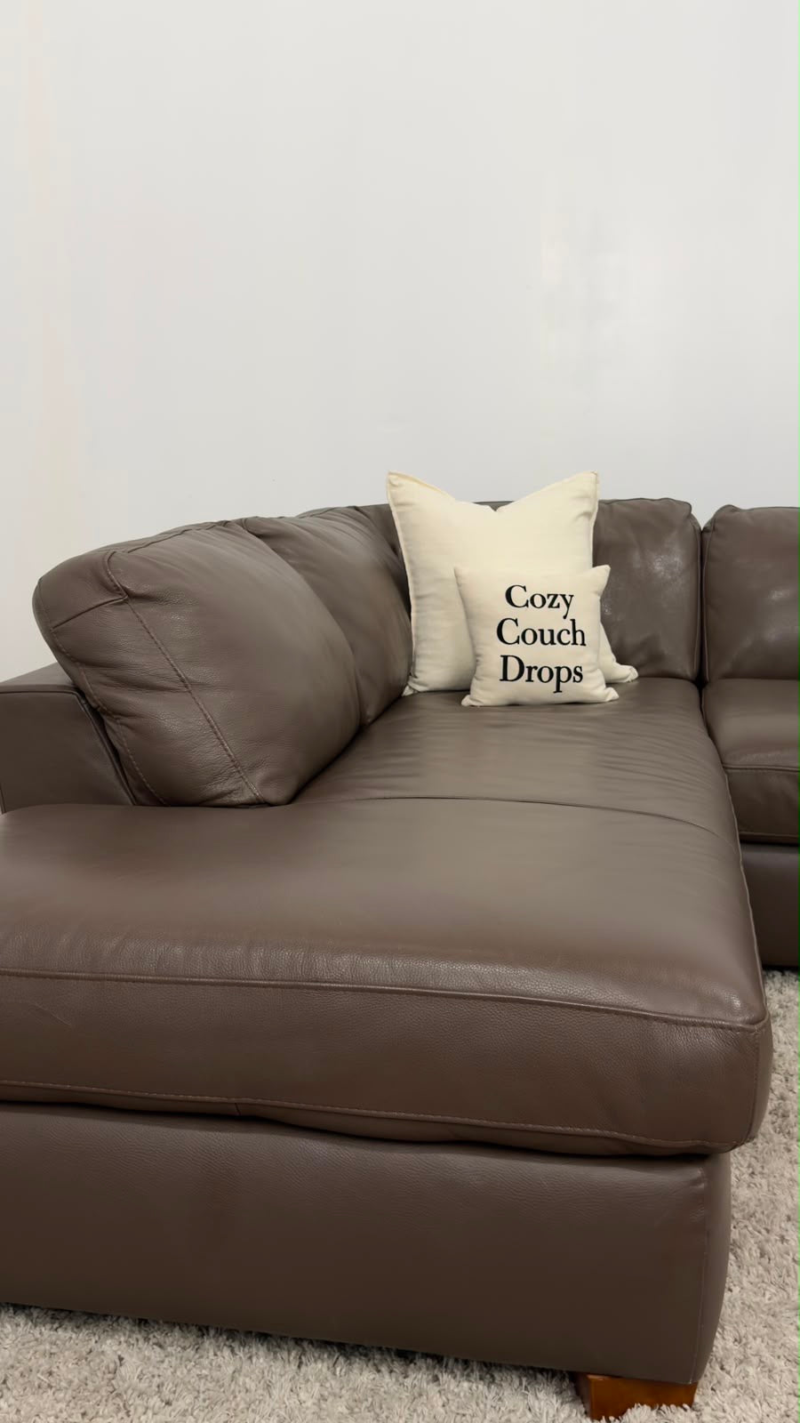 Natuzzi Cesare Sectional Sofa