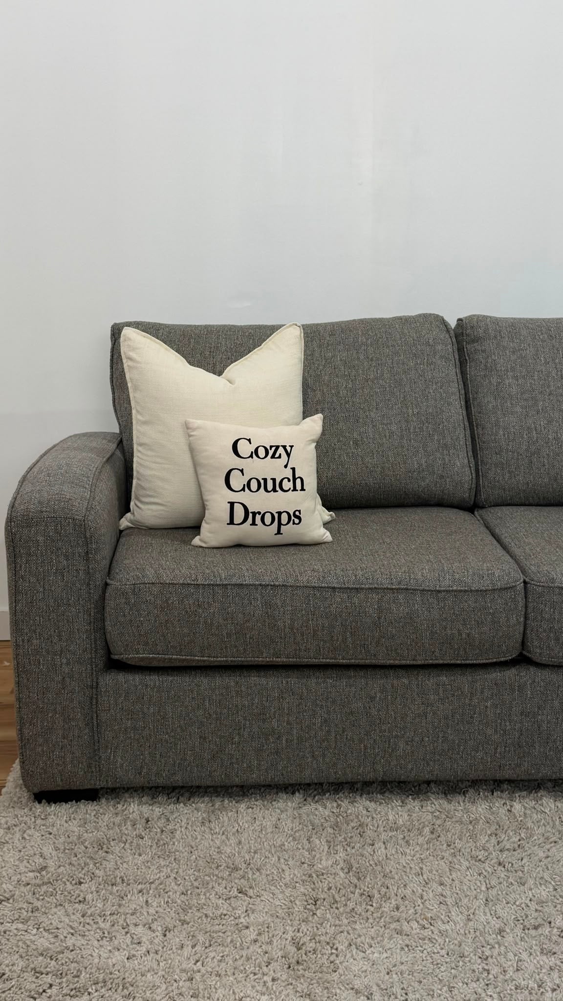 Elite Designs Sectional Sofa Bed 110”