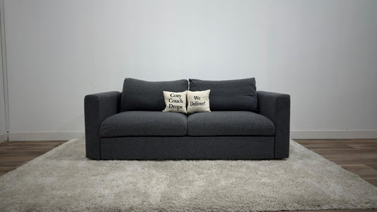 Ikea Finnala Sofabed Loveseat