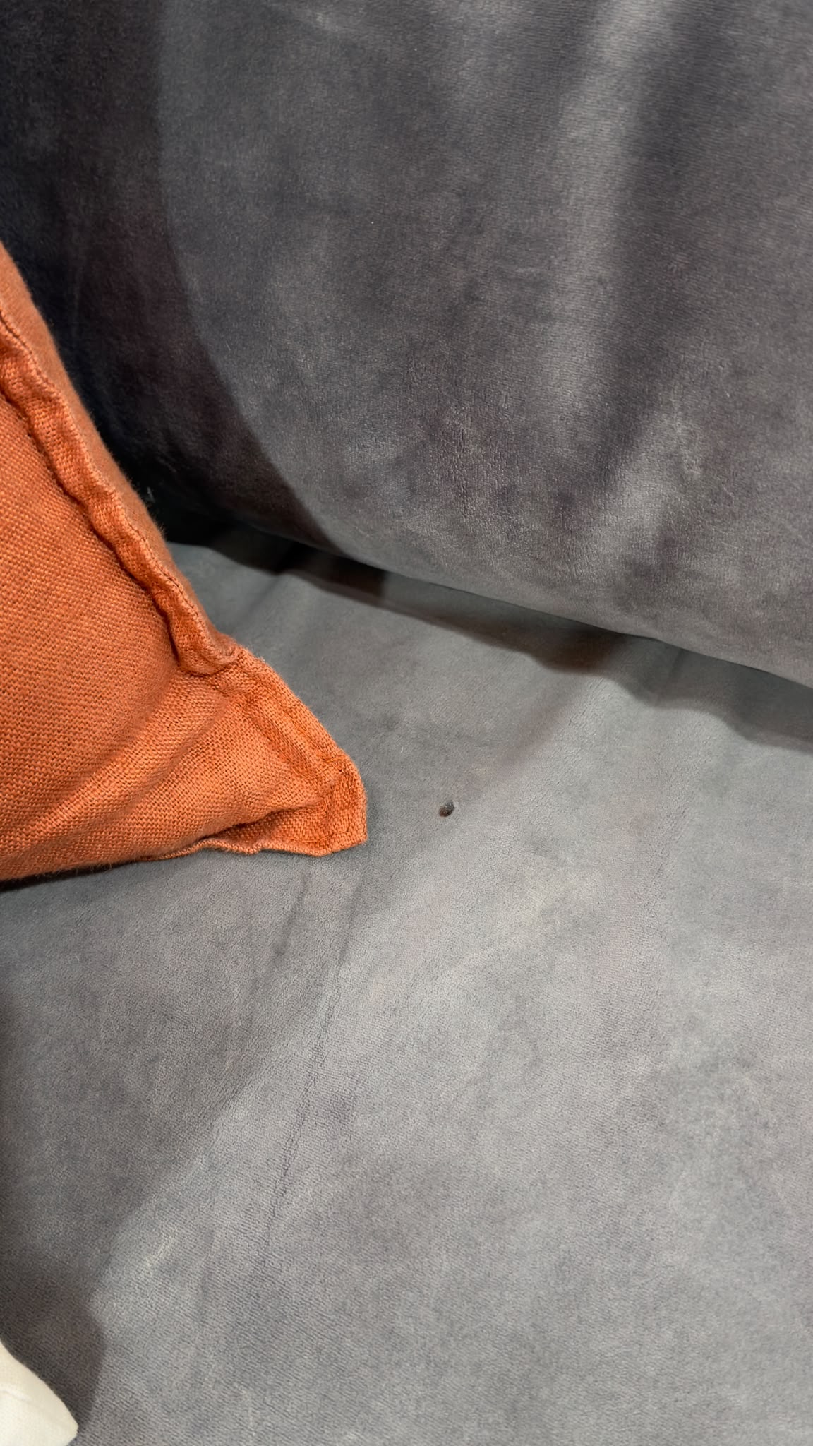 Crate & Barrel Velvet Lounge Sofa 90”