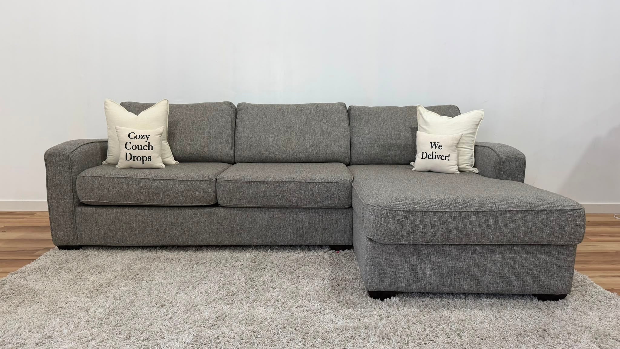 Elite Designs Sectional Sofa Bed 110”