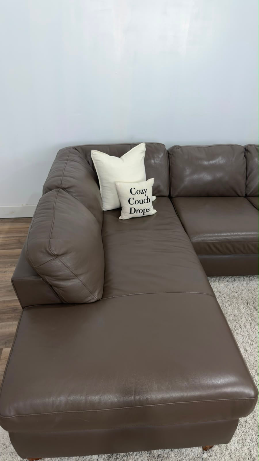 Natuzzi Cesare Sectional Sofa