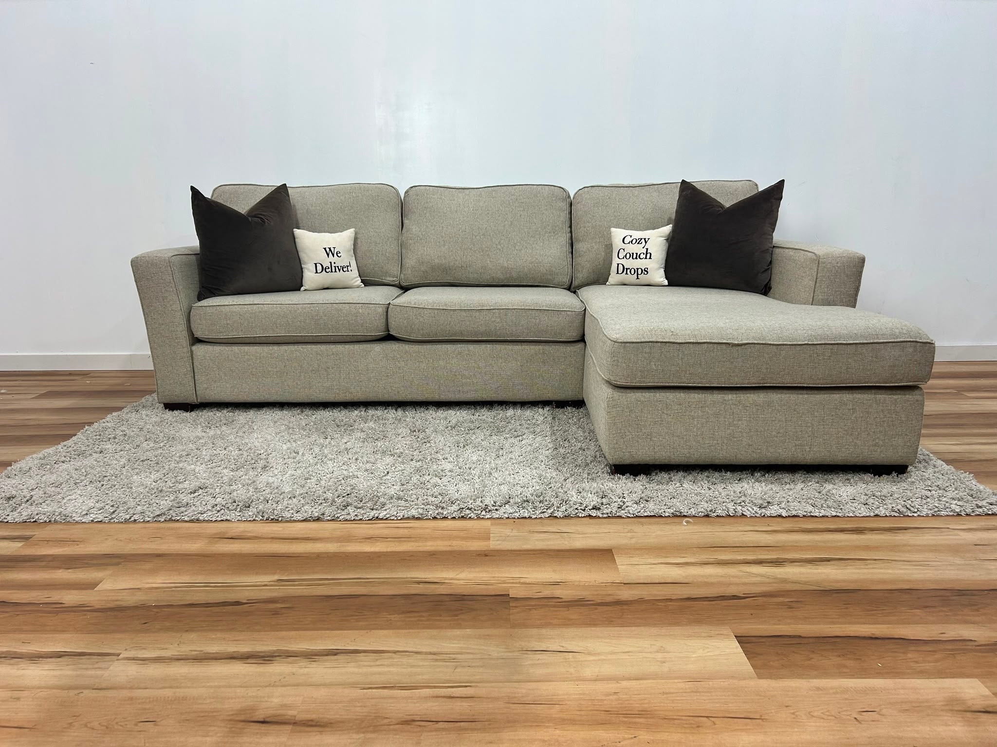 Beige Sleeper Sectional Sofa 108.5”