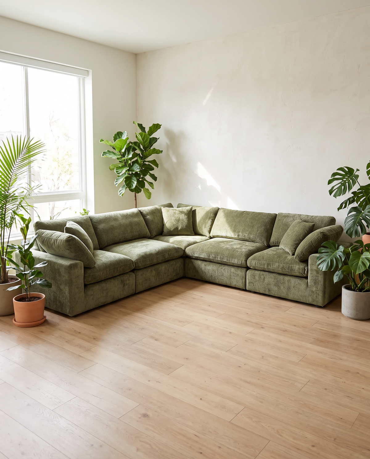 Cozy Couch Drops